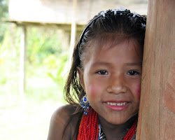Protecting the rights of Indigenous peoples